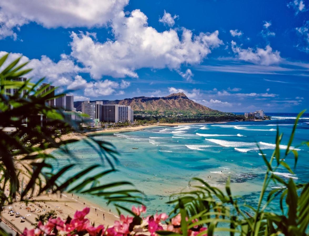 Great Diamond Head Views, 2Br Condo With Free Parking! Honolulu Exteriér fotografie